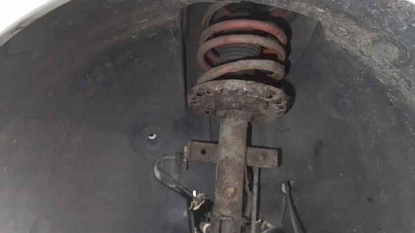 Federbein vorn RENAULT CLIO III (BR0/1, CR0/1)