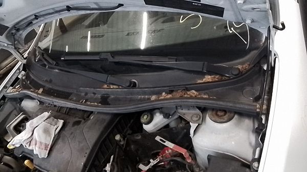 Torpedoplade RENAULT TWINGO II (CN0_)