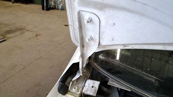 Bonnet hinge SKODA CITIGO (NF1)