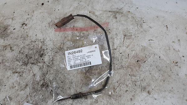 Particle filter CITROËN C3 II (SC_)