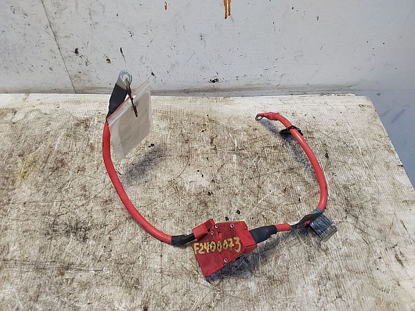 Positive cable battery