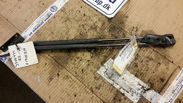 Tailgate gas strut SUZUKI IGNIS II (MH)
