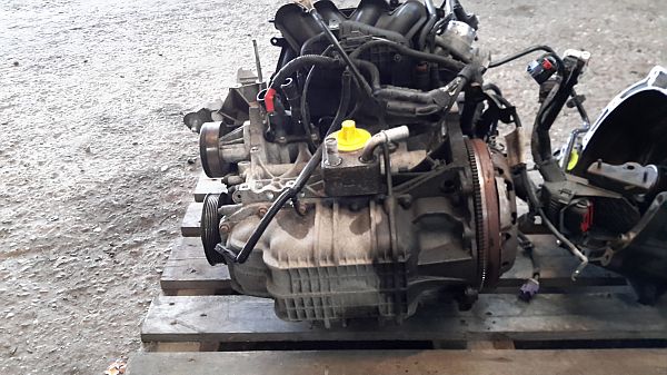 FIVICS POIGNÉE VELLATOR V2 25 CEV'N ARCHERY FIVICS POIGNÉE VELLATOR V2 25 CEV'N ARCHERY