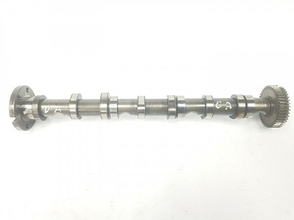 Cam shaft AUDI A6 (4F2, C6)