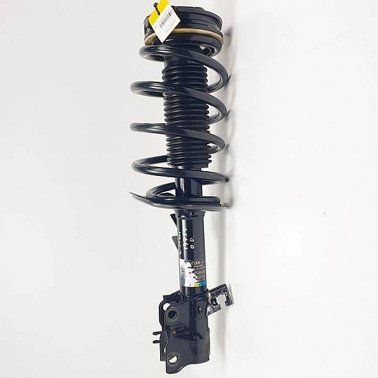 Federbein vorn NISSAN QASHQAI I (J10, NJ10)