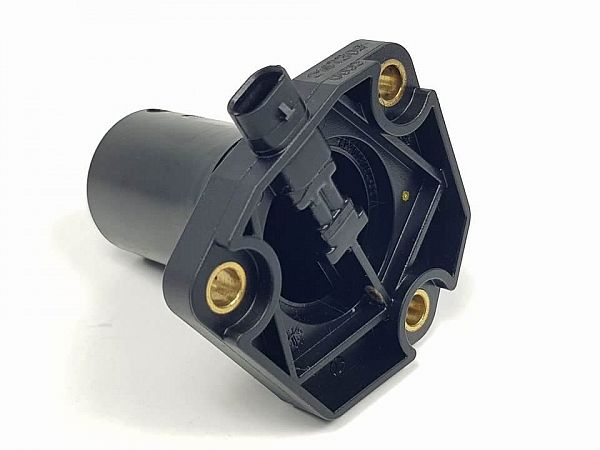 Oil level sensor