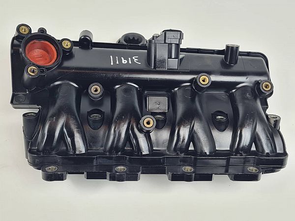 Ansaugkrümmer FIAT DOBLO Cargo (263_)