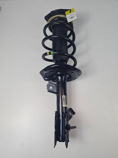 Federbein vorn NISSAN QASHQAI I (J10, NJ10)
