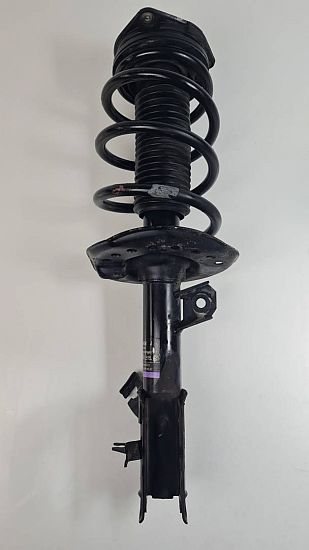 Federbein vorn NISSAN QASHQAI I (J10, NJ10)