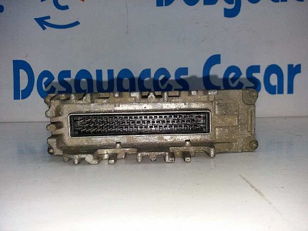 Motorsteuergerät (ECU) RENAULT MEGANE I Coach (DA0/1_)