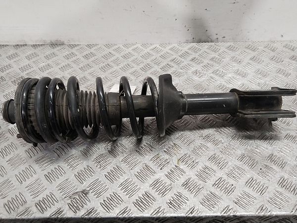 Federbein vorn LAND ROVER FREELANDER (L314)