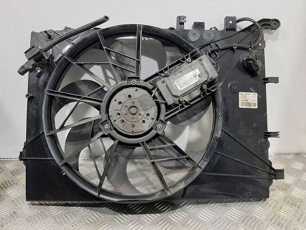 Radiator cooler fan