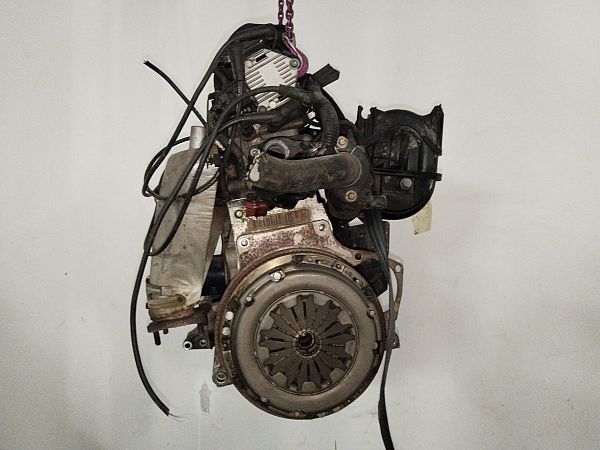 Motor