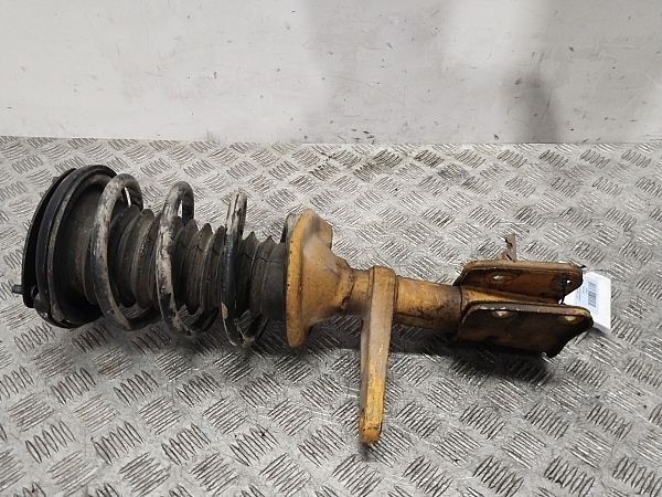 Federbein vorn LAND ROVER FREELANDER (L314)