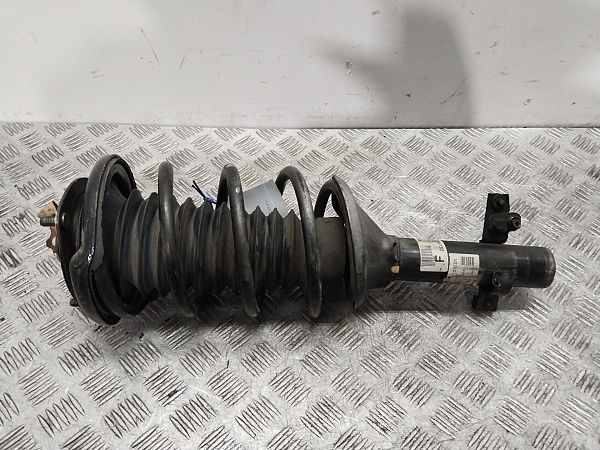 Federbein vorn ROVER 25 Hatchback (RF)