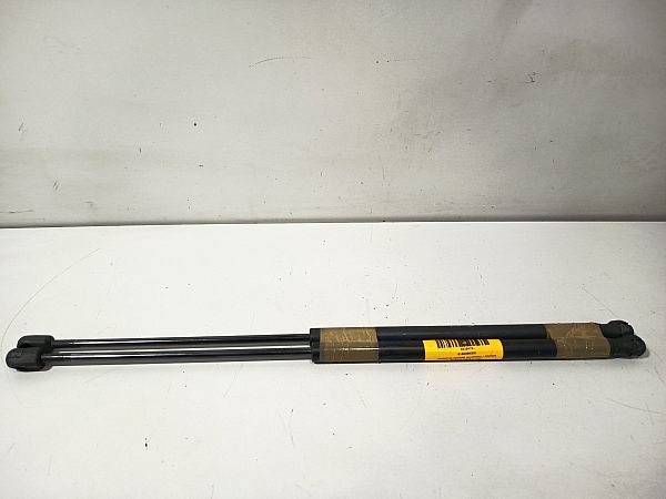 Tailgate gas strut SUZUKI IGNIS II (MH)
