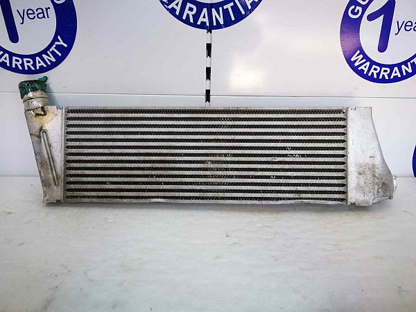 Ladeluftkühler RENAULT GRAND SCÉNIC II (JM0/1_)