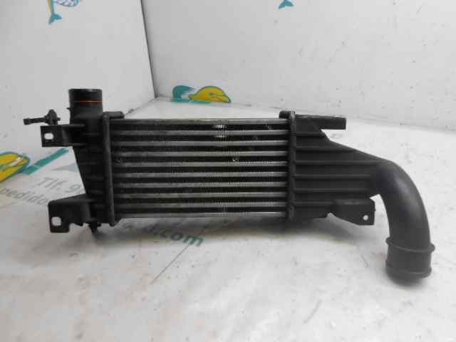 Intercooler radiator