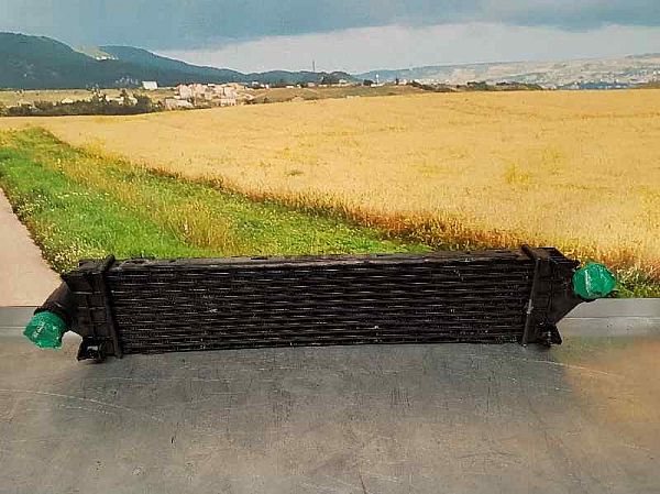 Intercooler radiator