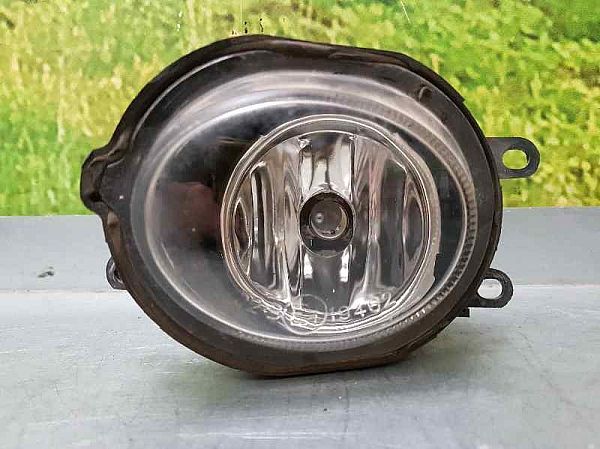 Nebelscheinwerfer TATA INDICA