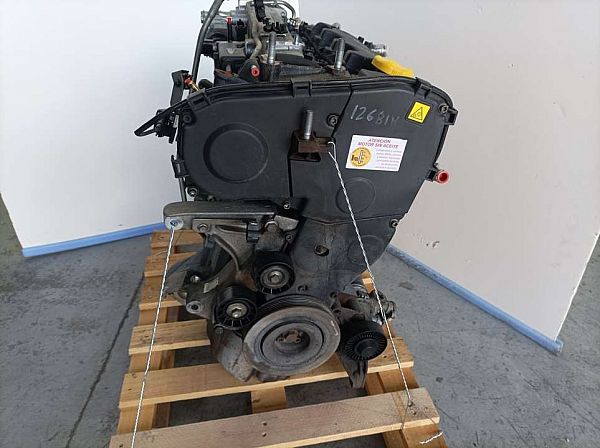 Motor LANCIA MUSA (350_)