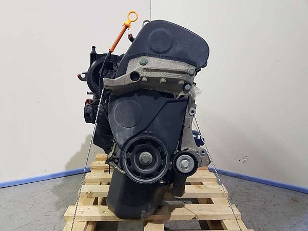 Motor SEAT IBIZA Mk III (6L1)
