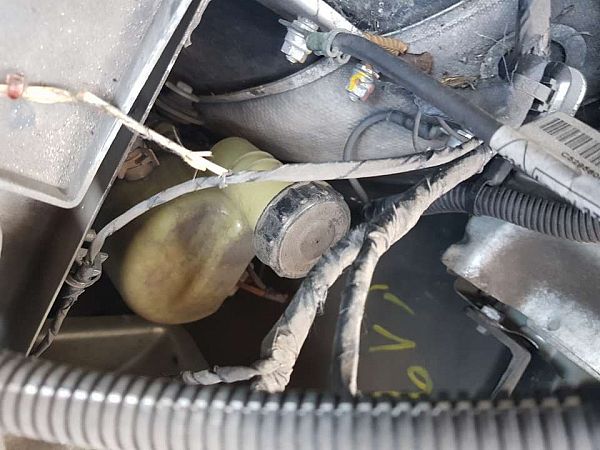 Servopumpe DACIA LODGY (JS_)