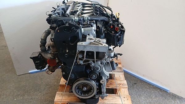 Motor LAND ROVER FREELANDER 2 (L359)