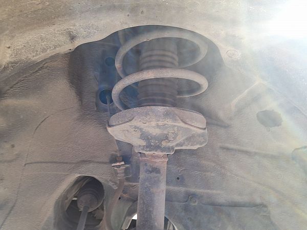 Federbein vorn SUZUKI BALENO Hatchback (EG)