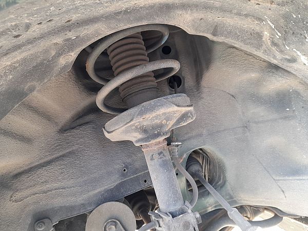 Federbein vorn SUZUKI BALENO Hatchback (EG)