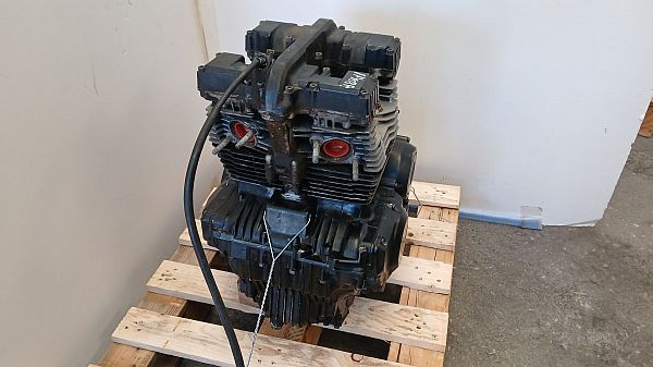 Motor DAF 33