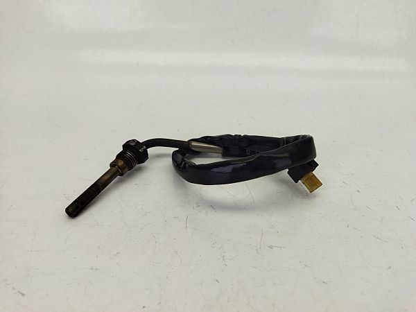 Exhaust gas temperature sensor