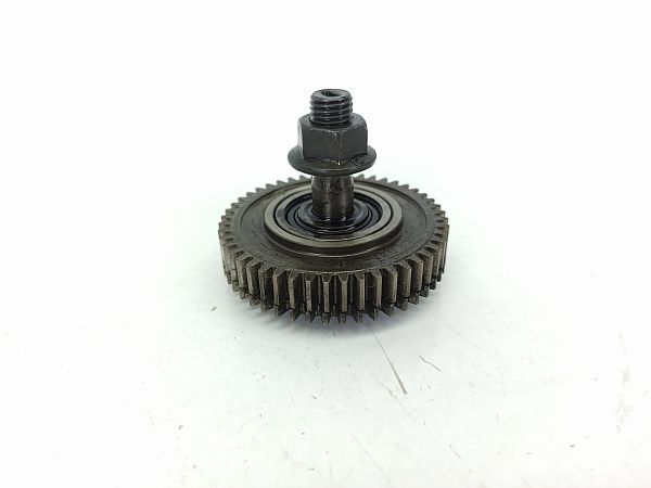 Kurbelwelleriemenscheibe BMW X1 (F48)