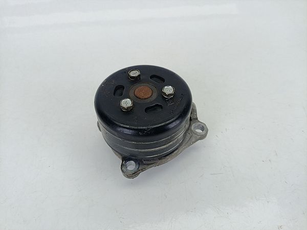 Wasserpumpe RENAULT MEGANE IV Hatchback (B9A/M/N_)