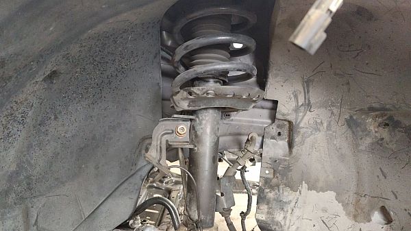 Federbein vorn LAND ROVER DISCOVERY SPORT (L550)