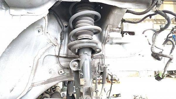 Federbein vorn JEEP COMPASS (MP, M6)
