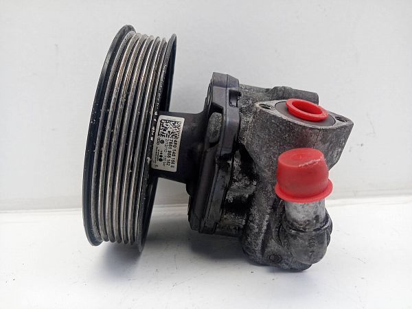 Servopumpe AUDI A6 Avant (4F5, C6)