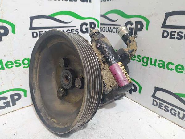 Servopumpe FIAT DOBLO MPV (119_, 223_)