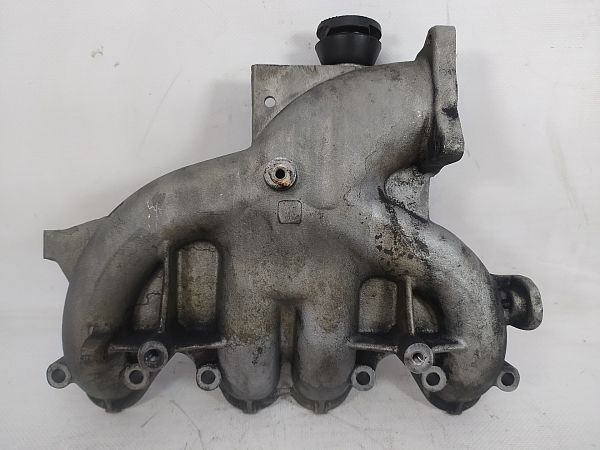 Ansaugkrümmer VW GOLF V (1K1)