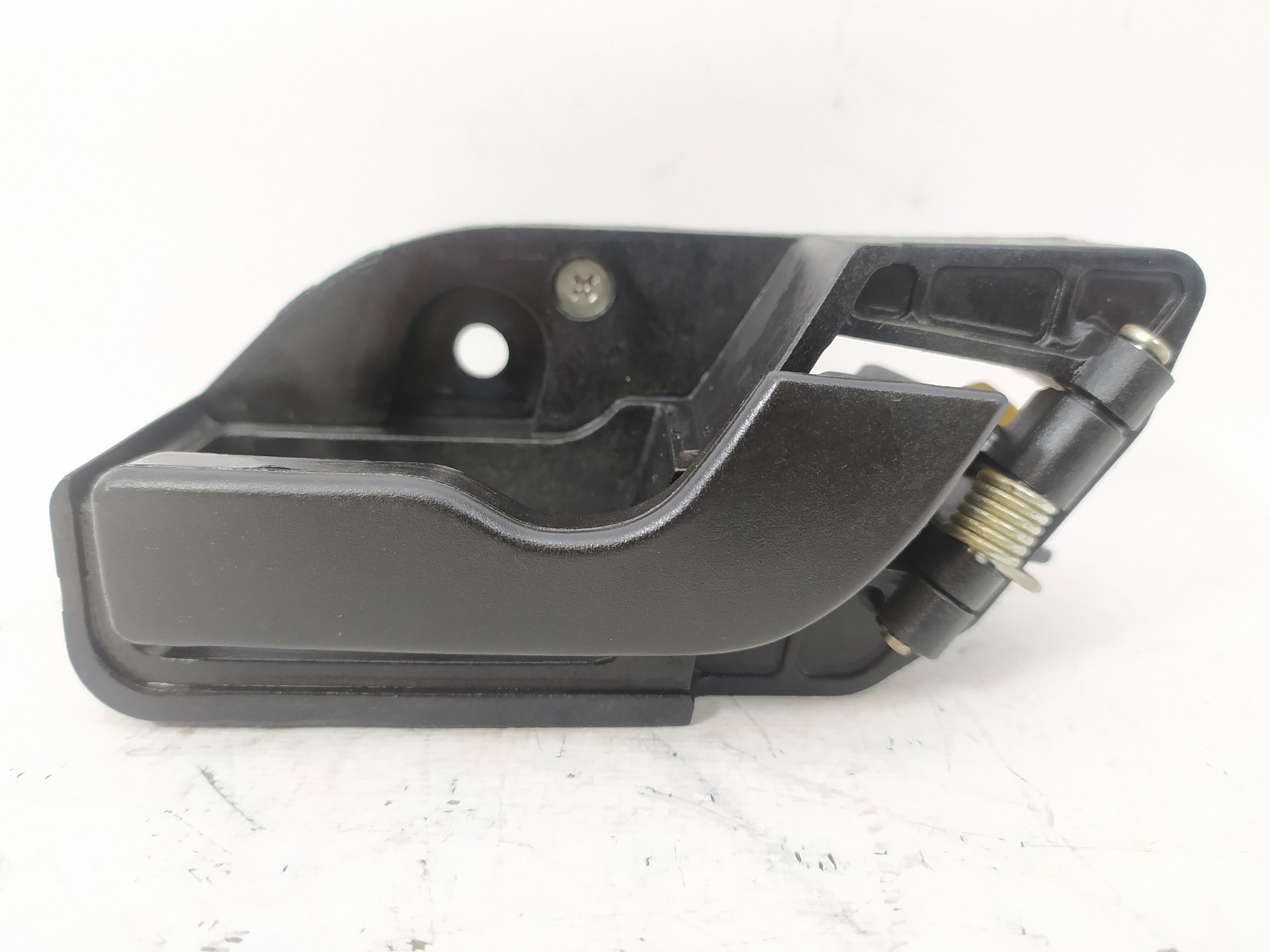 Handgriff innen TATA SAFARI (42_FD)