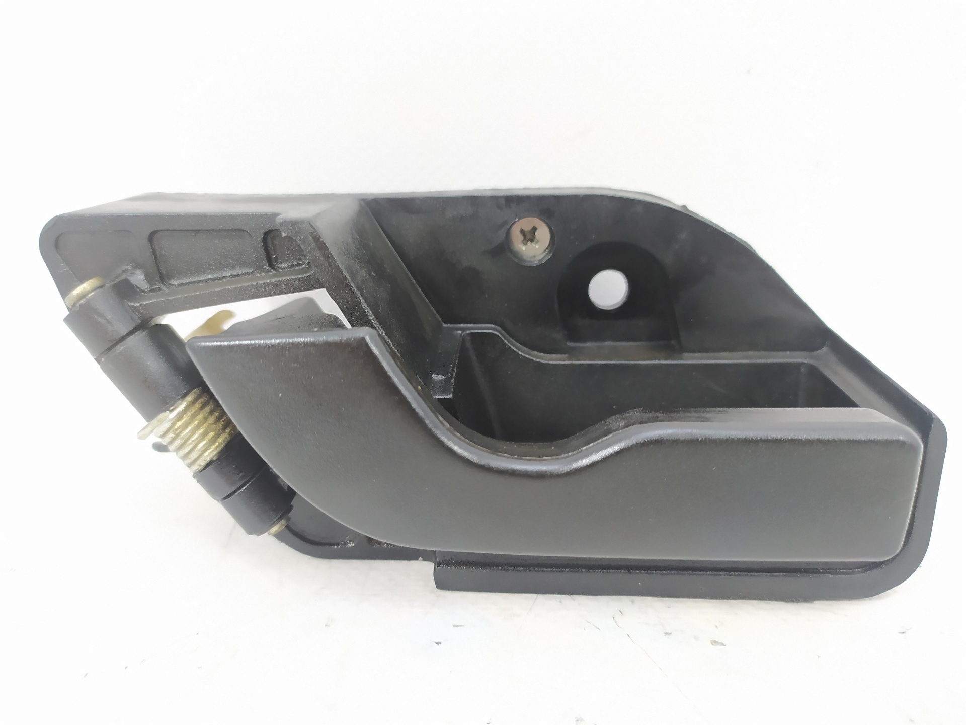 Handgriff innen TATA SAFARI (42_FD)