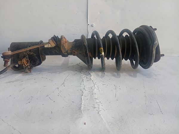 Federbein vorn LAND ROVER FREELANDER (L314)