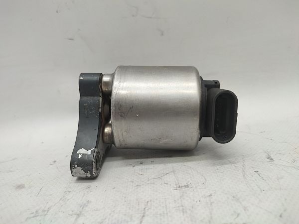 EGR Ventil