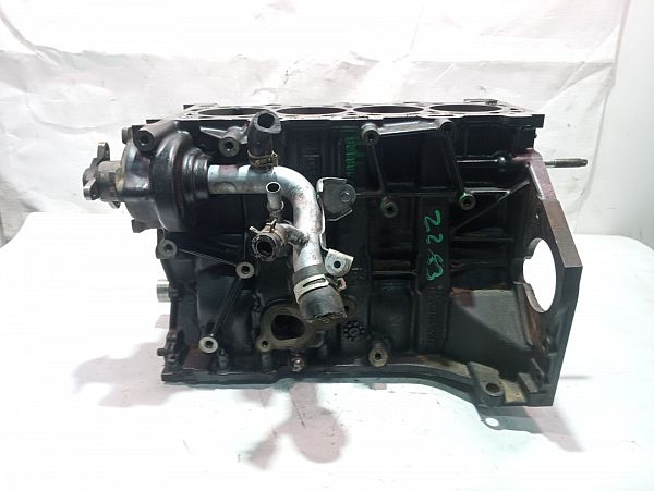 Motorblock PEUGEOT 405 Mk II (4B)