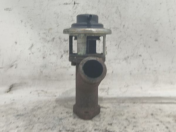 EGR Ventil PEUGEOT 406 (8B)