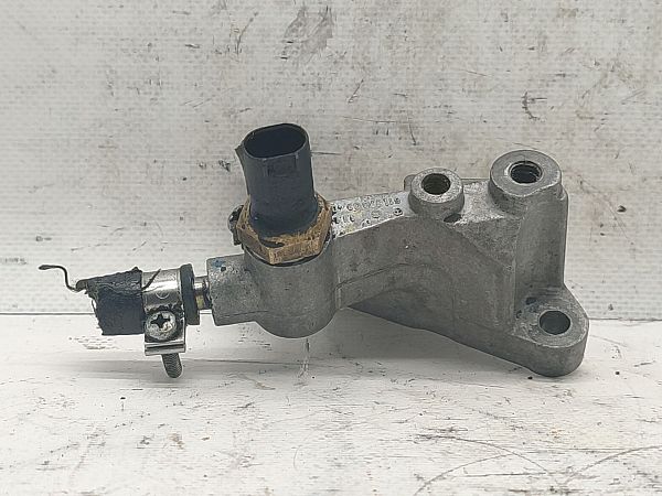 Fuel temperature sensor