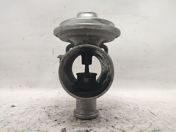 EGR / AGR-Ventil