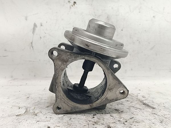 EGR valve