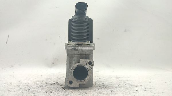 EGR valve
