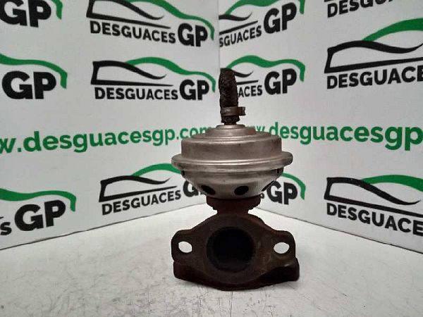 EGR Ventil SEAT ALHAMBRA (7V8, 7V9)
